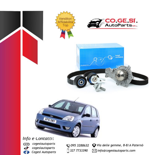 Kit distribuzione pompa - kit,