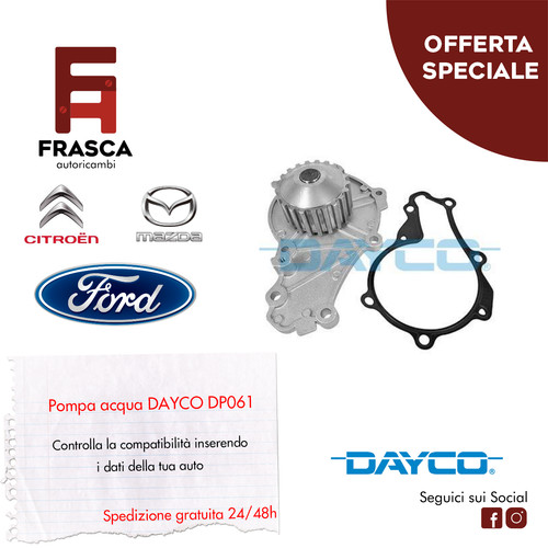 Pompa acqua dayco dp061 - dp061, ford