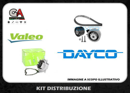 Kit cinghia distribuzione ford - cinghia,