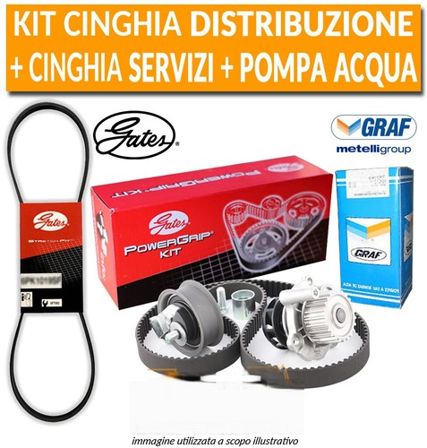 Kit cinghia distribuzione - cinghia, +