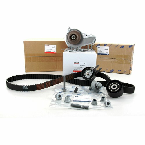 Kit distribuzione pompa - distribuzione, +
