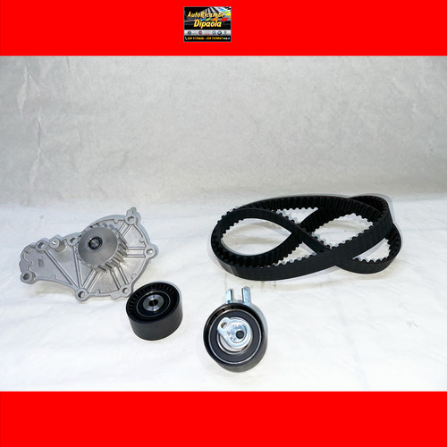 Kit distribuzione pompa - +,