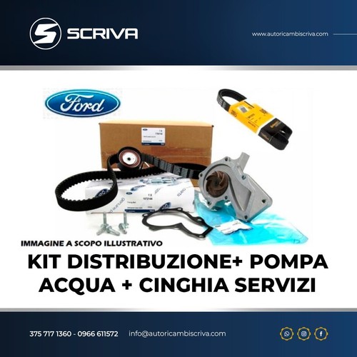 Kit distribuzione pompa - kit,